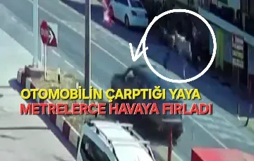 otomobilin çarptığı yaya hayatta kaldı